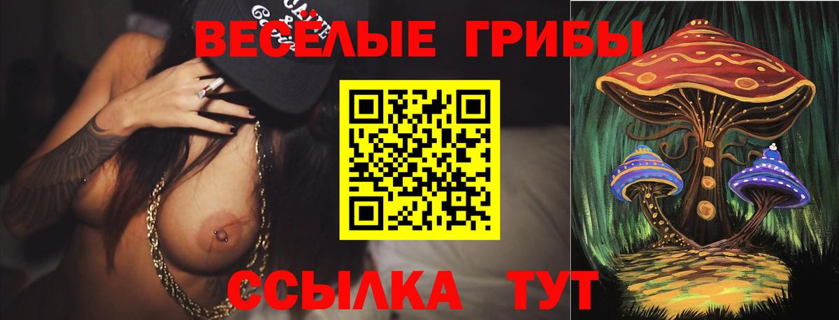 Галлюциногенные грибы Cubensis  Вход с VPN  Родники  Галлюциногенные грибы прущие грибы 