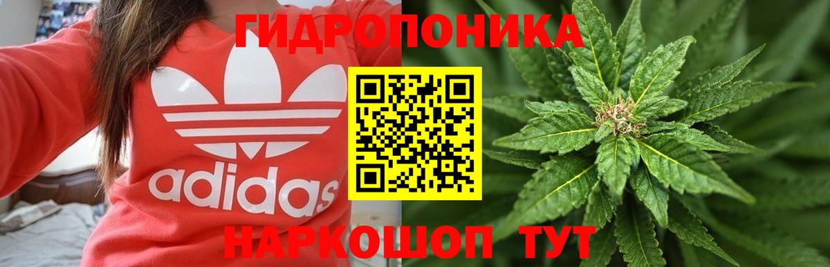 Родники  Бошки марихуана Bruce Banner  Вход с VPN  Каннабис сатива  Марихуана индика 